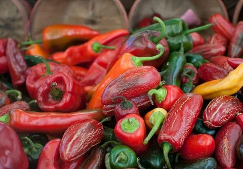 Various hot peppers Stock Photos