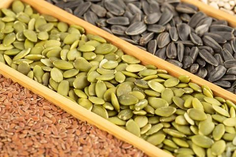 Various kind of seeds Stock Photos