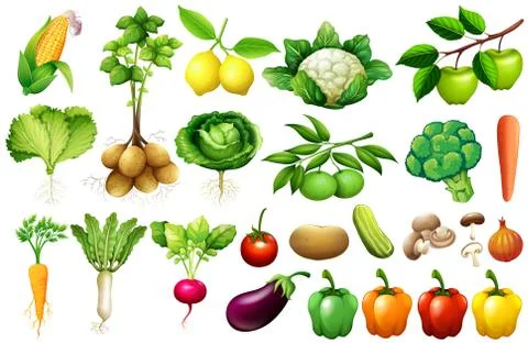 Various kind of vegetables Stock Illustration