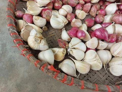 Various kinds of basic spices for Indonesian or Asian cuisine Stock-Fotos