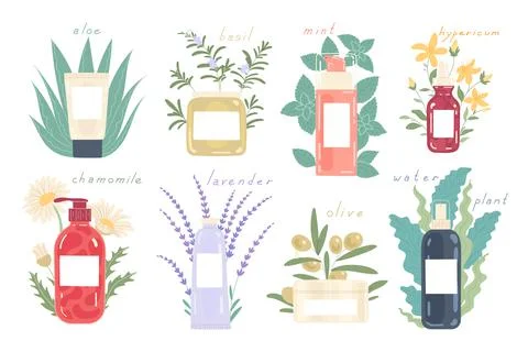 Various kinds of cosmetics in different packages with natural ingredients Stock Illustration