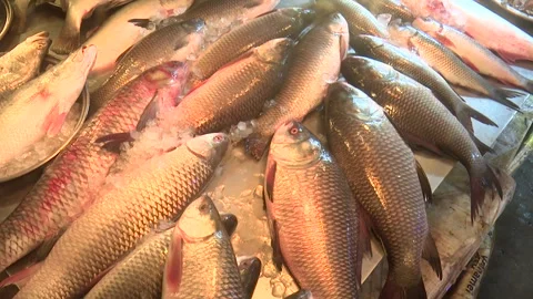 Various kinds of fish piled together for sale in a local market captured in Stock Footage 320034153