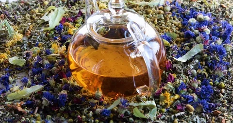 Various kinds of herbal tea  Stock Footage 121026993