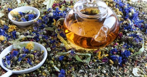 Various kinds of herbal tea  Stock Footage 121026997