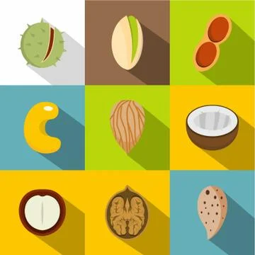 Various kinds of nuts icons set, flat style Stock Illustration
