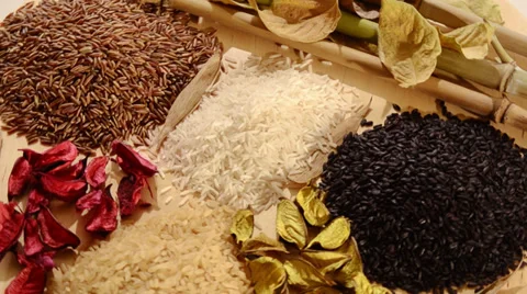 Various kinds of rice 스톡 동영상 32422315