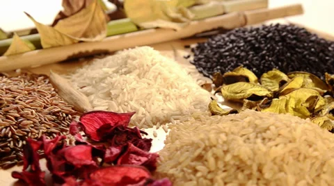 Various kinds of rice 库存影片 32423007