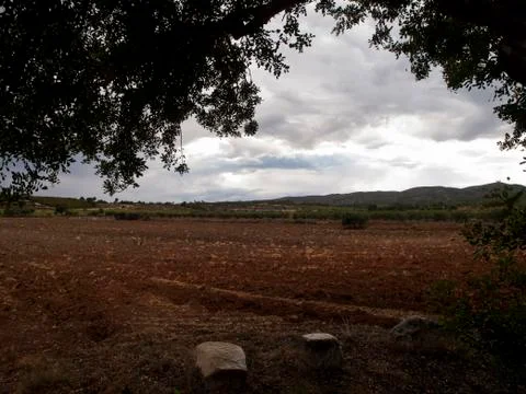 Various landscapes Foto stock