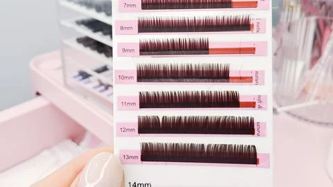 Various lash styles and techniques for natural, dramatic, and volumized lashe Stock Photos