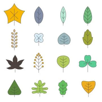 Various leaf shape vector illustration flat design Stock Illustration