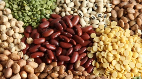 Various of Legumes Video stock 79669865