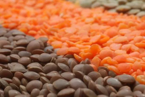 Various lentils Stock Photos