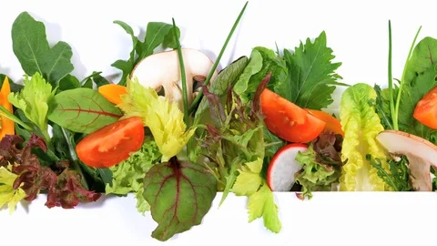Various Lettuce Panorama on white Background Stock Footage 122250445