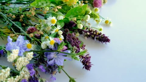 Various medicinal herbs on a white background. Selective focus. Stock Footage 318654625