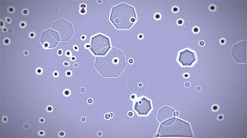 Various microorganisms, bacteria and viruses interact at the macro level. Stock Footage 136361735