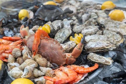 Various multi colored seafood with piebald, crab and mussels Stock Photos