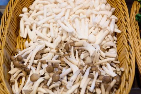 Various Mushroom types Stock Photos