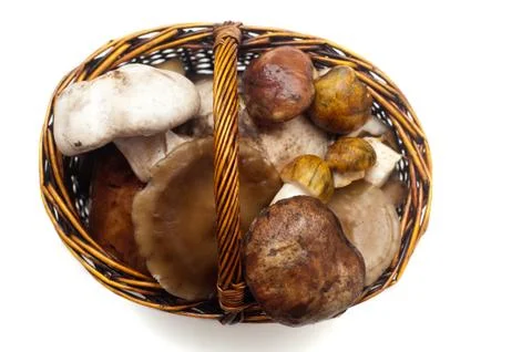 Various mushrooms in a basket top view. Stock Photos