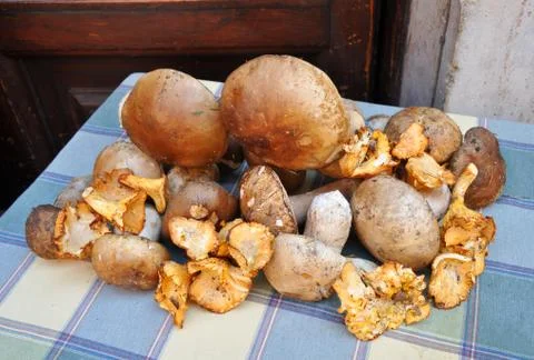 Various mushrooms on the table. Foto stock