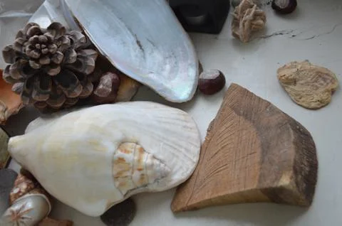 Various natural objects lie on the windowsill Stock Photos