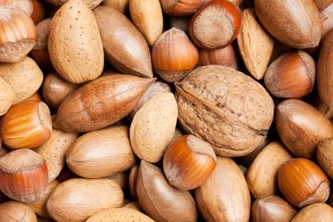Various nuts Stock Photos