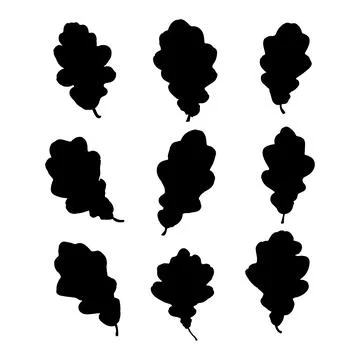 Various oak leaf silhouettes on the white background Stock Illustration