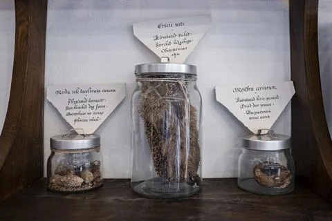 Various objects in jars with labels on shelf at old pharmacy museum in town Stock Photos