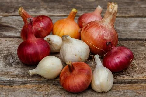 Various onion on a rustic wooden table Stock Photos
