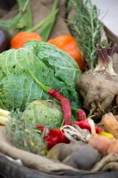 Various organic vegetables Stock Photos