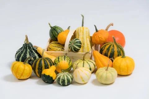 Various ornamental pumpkins Foto stock
