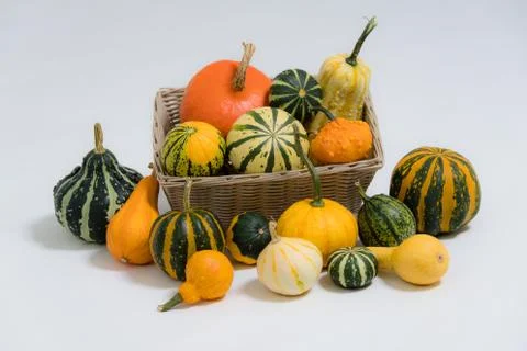 Various ornamental pumpkins Foto stock
