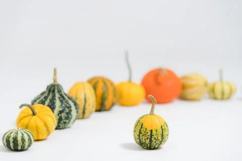 Various ornamental pumpkins Foto stock