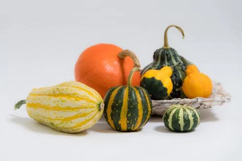 Various ornamental pumpkins Stock Photos