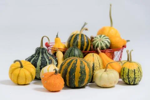 Various ornamental pumpkins Foto stock