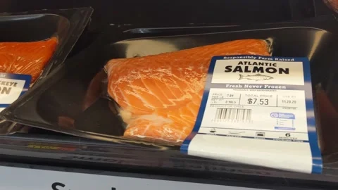 Various Packaged Atlantic Salmon Stock Footage 144361047