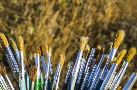 Various paint brushes Stock Photos