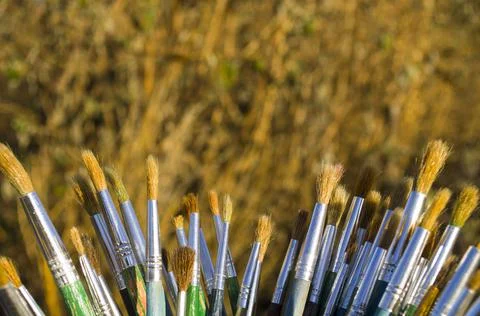 Various paint brushes Foto stock