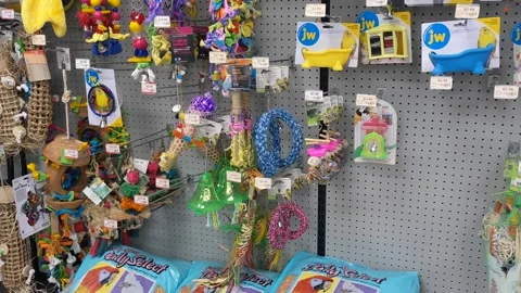 Various Parakeet Toys Video stock 152085904