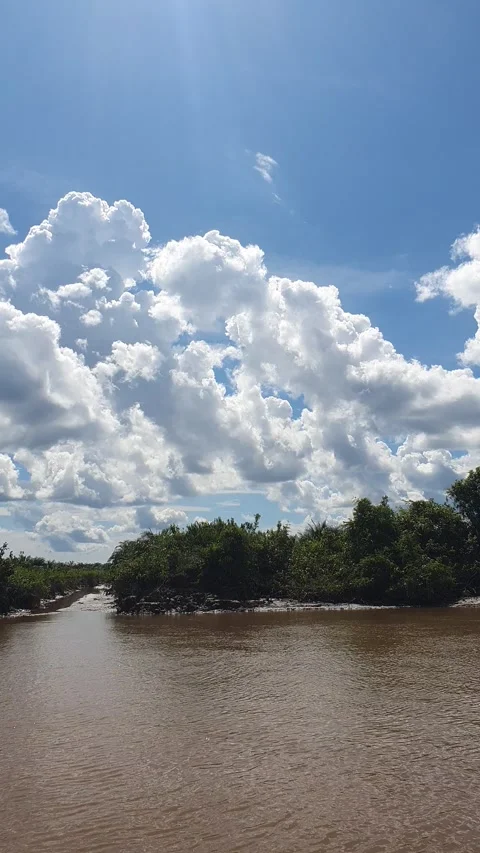 Various patterns of white clouds in the blue sky above the Kapuas River 動画素材 337222942