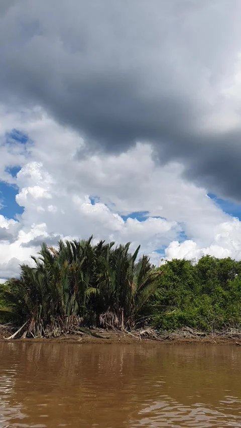 Various patterns of white clouds in the blue sky above the Kapuas River 스톡 동영상 337223529
