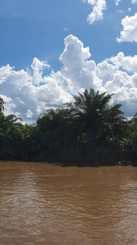 Various patterns of white clouds in the blue sky above the Kapuas River Stock Footage 337225370