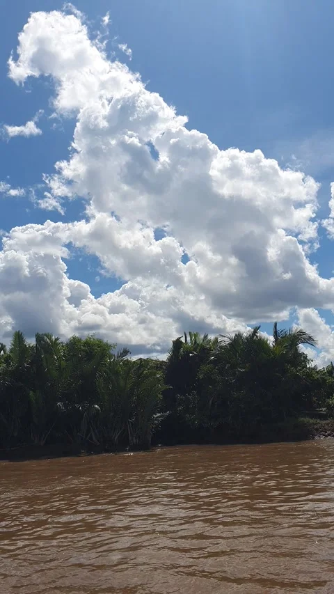 Various patterns of white clouds in the blue sky above the Kapuas River Stock-Footage 337226016
