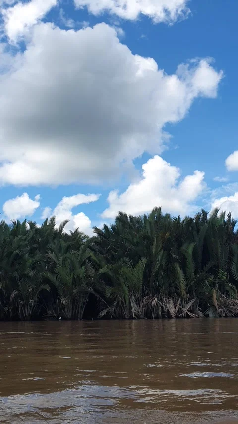 Various patterns of white clouds in the blue sky above the Kapuas River Vidéo 337227879