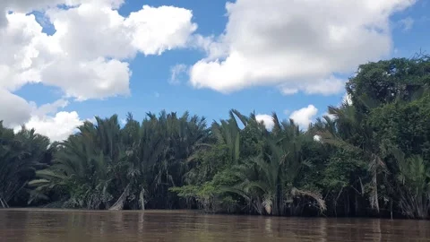 Various patterns of white clouds in the blue sky above the Kapuas River Видео 337227909