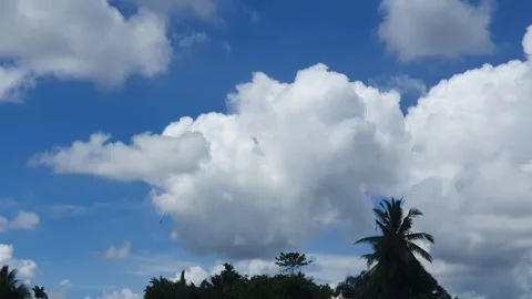 Various patterns of white clouds in the blue sky above the Kapuas River Видео 337228080