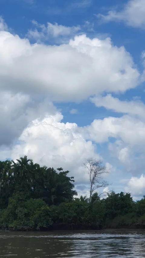 Various patterns of white clouds in the blue sky above the Kapuas River Видео 337228147