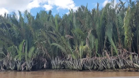 Various patterns of white clouds in the blue sky above the Kapuas River 스톡 동영상 337228435