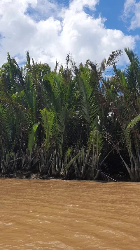 Various patterns of white clouds in the blue sky above the Kapuas River Vidéo 337228771