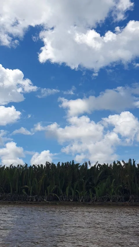 Various patterns of white clouds in the blue sky above the Kapuas River Vídeo Stock 337231710