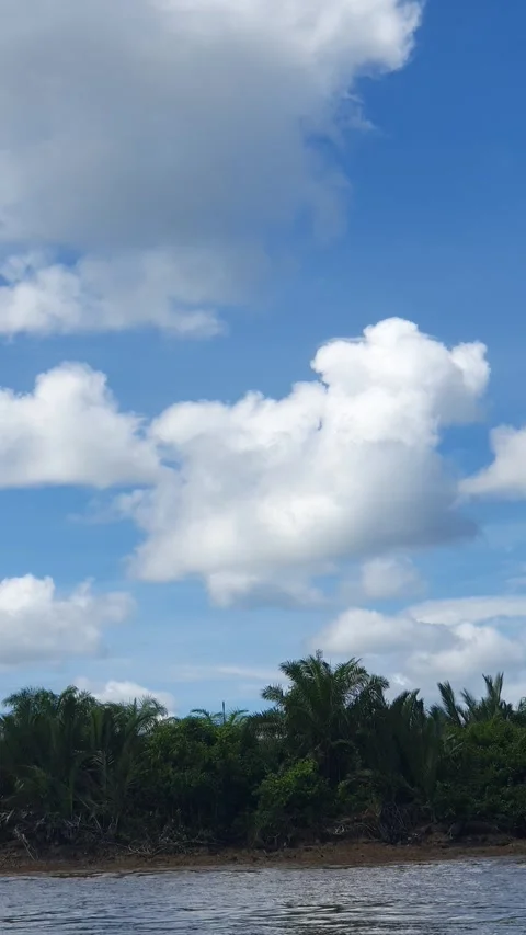Various patterns of white clouds in the blue sky above the Kapuas River 스톡 동영상 337231995